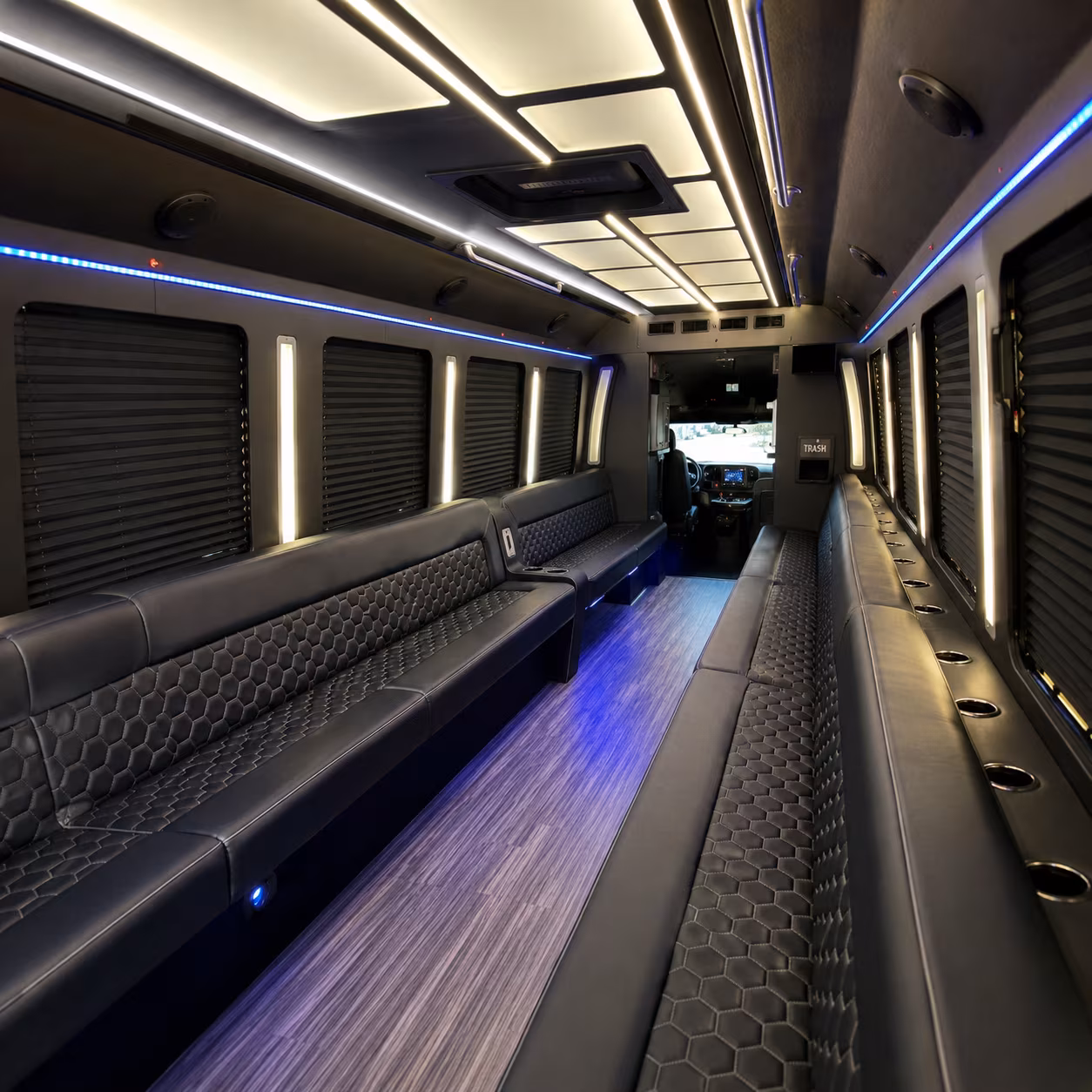 thousand oaks birthday party bus rental